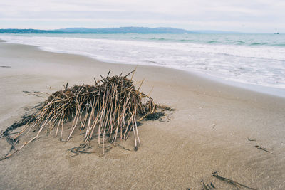 Lonely beach in the delta del ebro, tarragona, spain. the day is cloudy and windy.