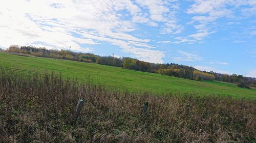 Scenic view of agricultural field against sky