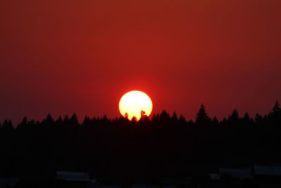 Silhouette trees against orange sky during sunset