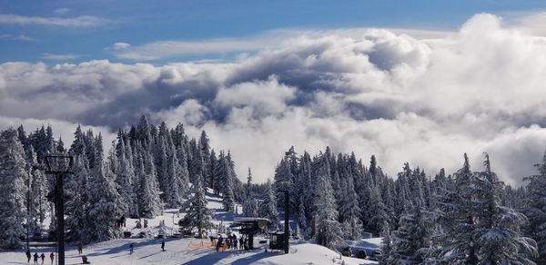 Panoramic view of snow covered trees against sky