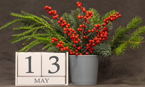 Close-up of fresh red fruits on plant