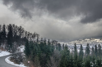 Scenic view of landscape against cloudy sky