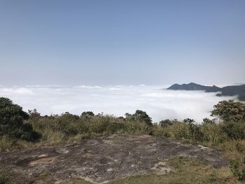 Scenic view of landscape against sky