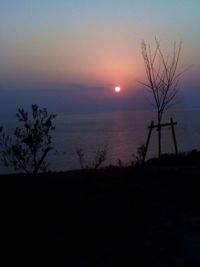 Silhouette of trees at sunset