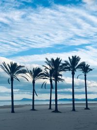 Palm trees on beach against sky