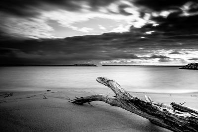 View of driftwood on beach against cloudy sky