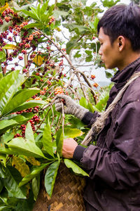 Side view of woman holding fresh plants against trees