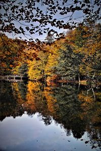 Reflection of trees in lake against sky