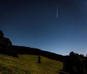 Scenic view of tree against clear sky at night