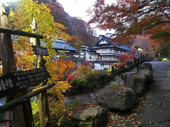 Plants and trees by building during autumn