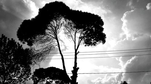 Low angle view of silhouette trees against sky