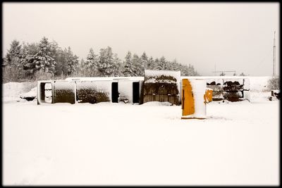 Snow covered trees against clear sky