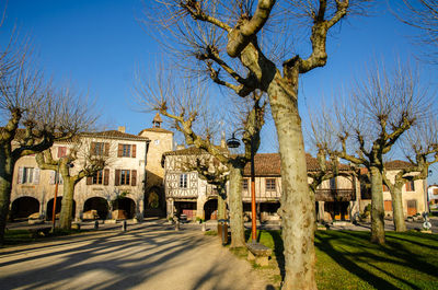 Bare trees by street against buildings in city