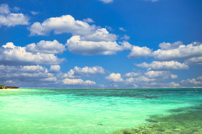 Beautiful coral reef sea in okinawa