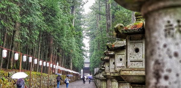 People walking on bridge against trees