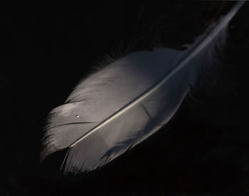 Close-up of glass over white background