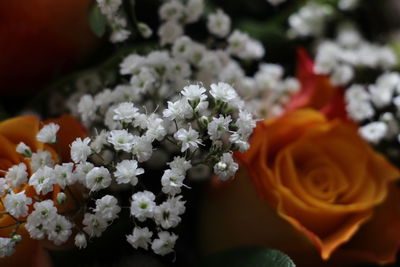 Close-up of fresh white rose bouquet