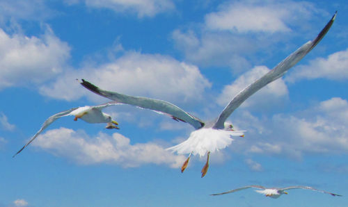 Low angle view of cloudy sky