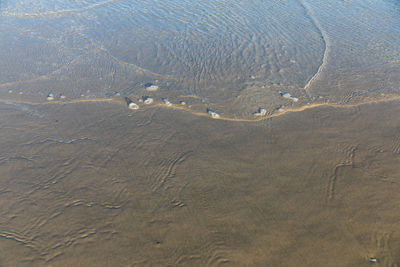 High angle view of beach