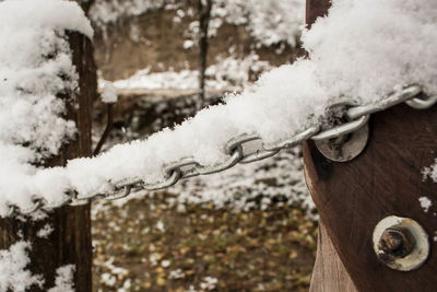 Close-up of icicles on tree during winter