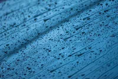 Full frame shot of raindrops on blue glass