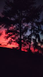 Silhouette trees in forest against sky at night