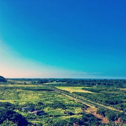 Scenic view of field against clear sky