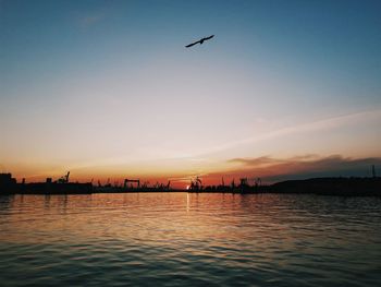 Silhouette birds flying over lake against sky during sunset