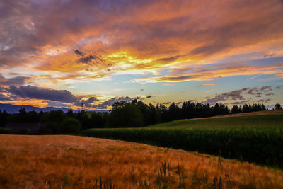 Scenic view of field against sky during sunset