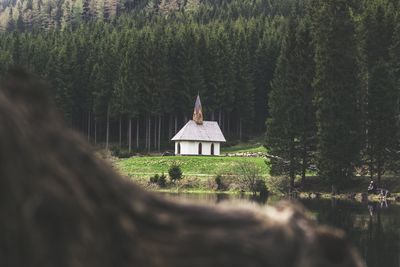 Temple against trees in forest