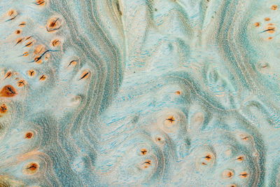 Macro photography of a stabilized wooden block with a color dye, natural wood pattern