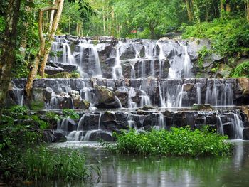 Waterfall in forest