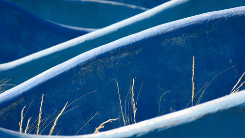 View of trees against blue sky