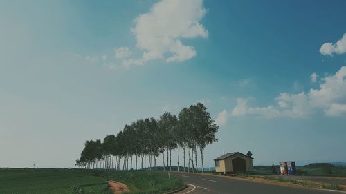 Road amidst trees and houses against sky