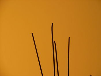 Low angle view of silhouette plants against orange sky
