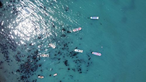 High angle view of people swimming in sea