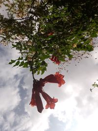 Low angle view of red toy on tree against sky