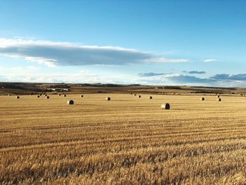 Hay bales on field against sky