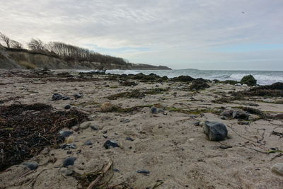 Rocks on beach against sky