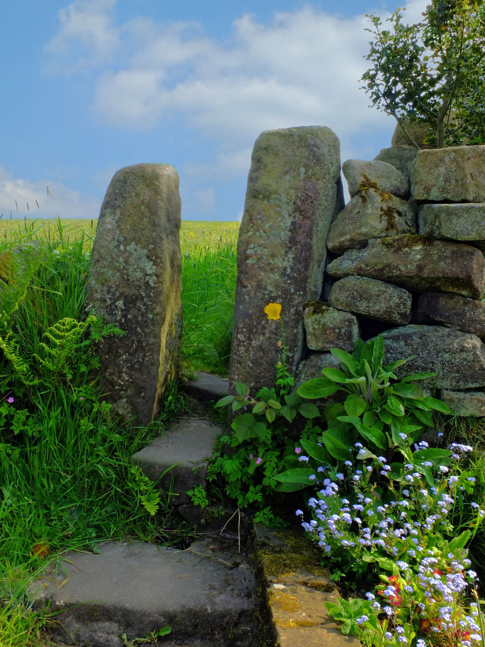 STONE WALL AGAINST SKY