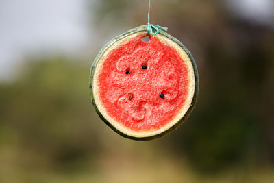 Close-up of strawberry