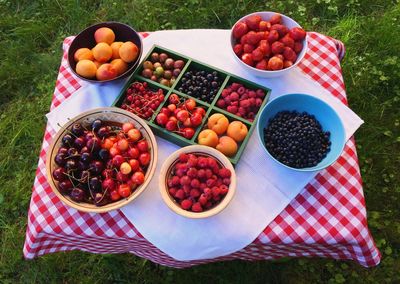 High angle view of fruits in basket