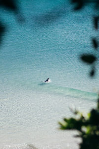 View of surfer on beach