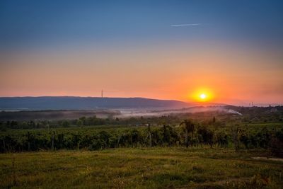 Sun shining over landscape