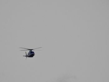 Low angle view of insect flying in sky