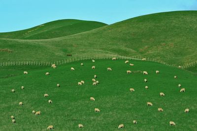 Scenic view of green landscape against sky