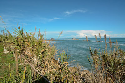 Scenic view of sea against blue sky