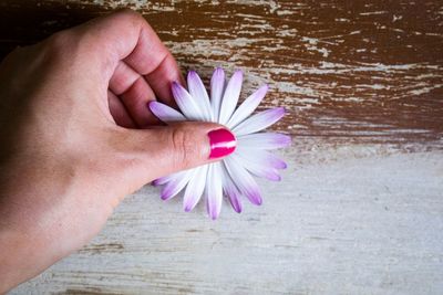 Cropped image of woman hand holding flower on table