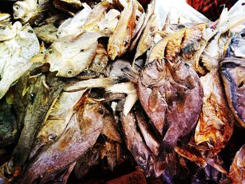 High angle view of fish for sale at market