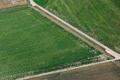 High angle view of agricultural field